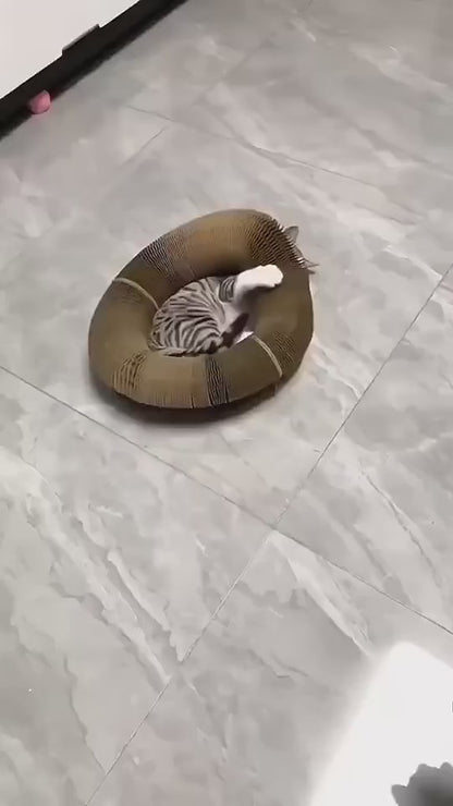 Cat Scratching Post Toy - Organ Design for Cats